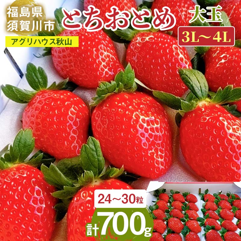 【ふるさと納税】＜アグリハウス秋山＞ とちおとめ デラックス3L～4L 大玉 24～30粒 F7X-0214