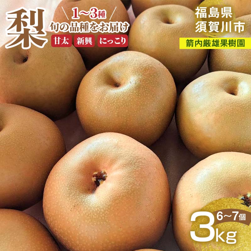 【ふるさと納税】梨 甘太 新興 にっこり 1～3種入り 3kg 6～7個 ＜箭内厳雄果樹園＞ F7X-0223