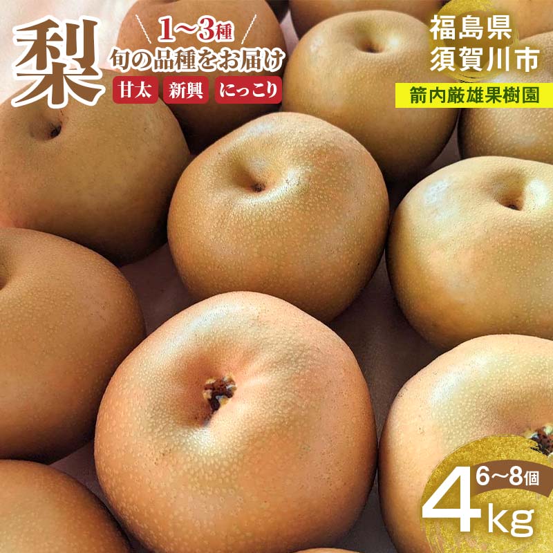 【ふるさと納税】梨 甘太 新興 にっこり 1～3種入り 4kg 6～8個 ＜箭内厳雄果樹園＞ F7X-0224