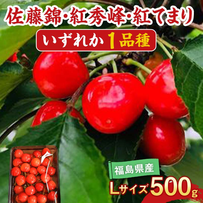 【ふるさと納税】さくらんぼ 佐藤錦 紅秀峰 紅てまり どれか1品種 500g Lサイズ ＜有我果樹園＞ F7X-0227