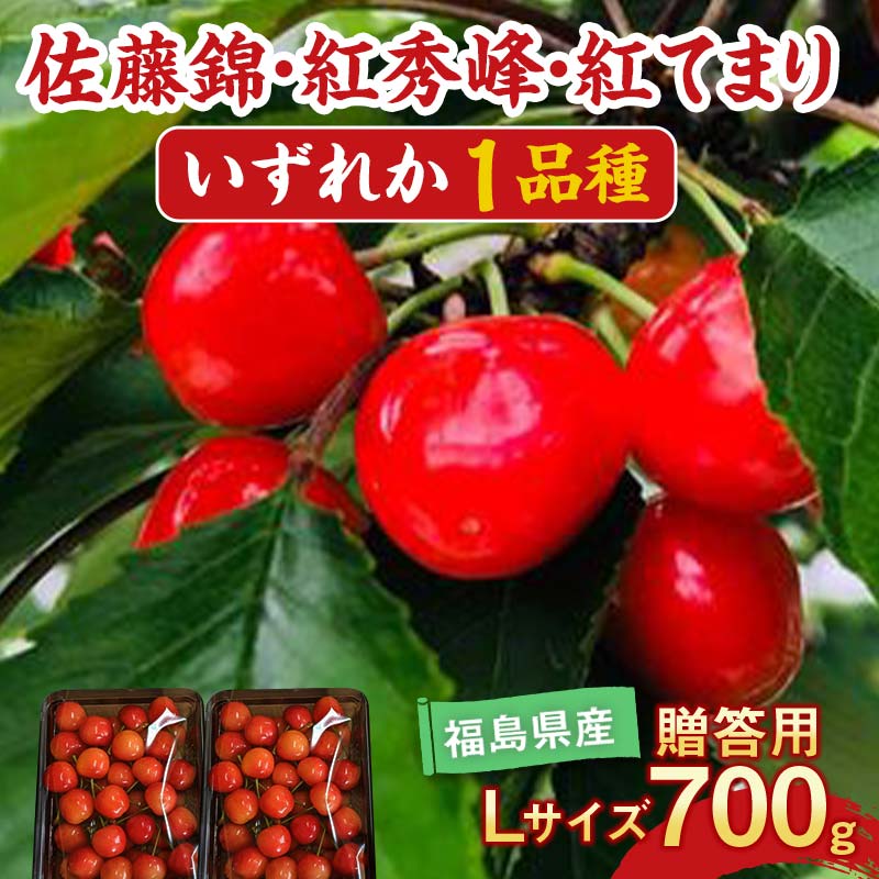 【ふるさと納税】さくらんぼ 佐藤錦 紅秀峰 紅てまり どれか1品種 約700g L～2Lサイズ 贈答用 ＜有我果樹園＞ F7X-0228
