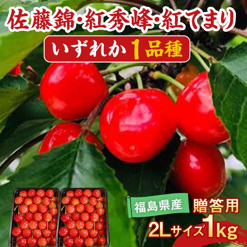 【ふるさと納税】さくらんぼ 佐藤錦 紅秀峰 紅てまりのどれか1品種 1kg 2Lサイズ 贈答用 ＜有我果樹園＞ F7X-0230
