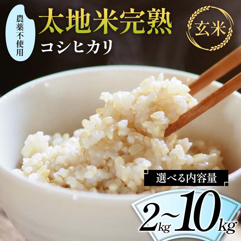 【ふるさと納税】\選べる内容量/ 2026年産 農薬不使用 太地米完熟 【こしひかり】 玄米 2kg 3kg 5kg 10kg ブランド米 お米 人気 F7X-0672var|福島県須賀川市