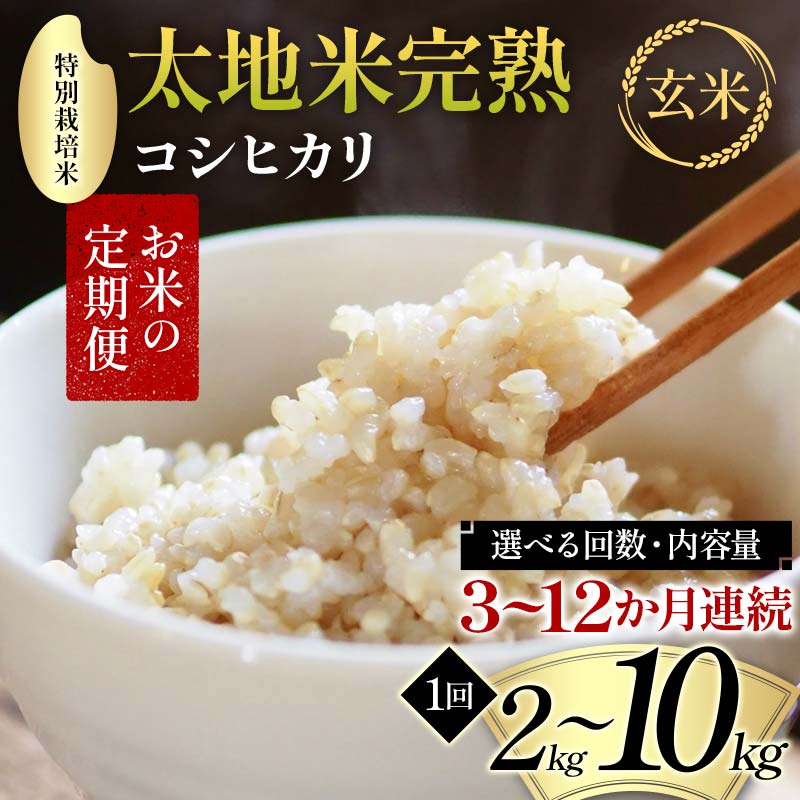 【ふるさと納税】【先行予約】\選べる回数・内容量/ お米の定期便 特別栽培米 太地米完熟 【こしひかり】 玄米 2kg 3kg 5kg 10kg × 3か月 6か月 9か月 12か月 ブランド米 お米 人気 F7X-0688var|福島県須賀川市
