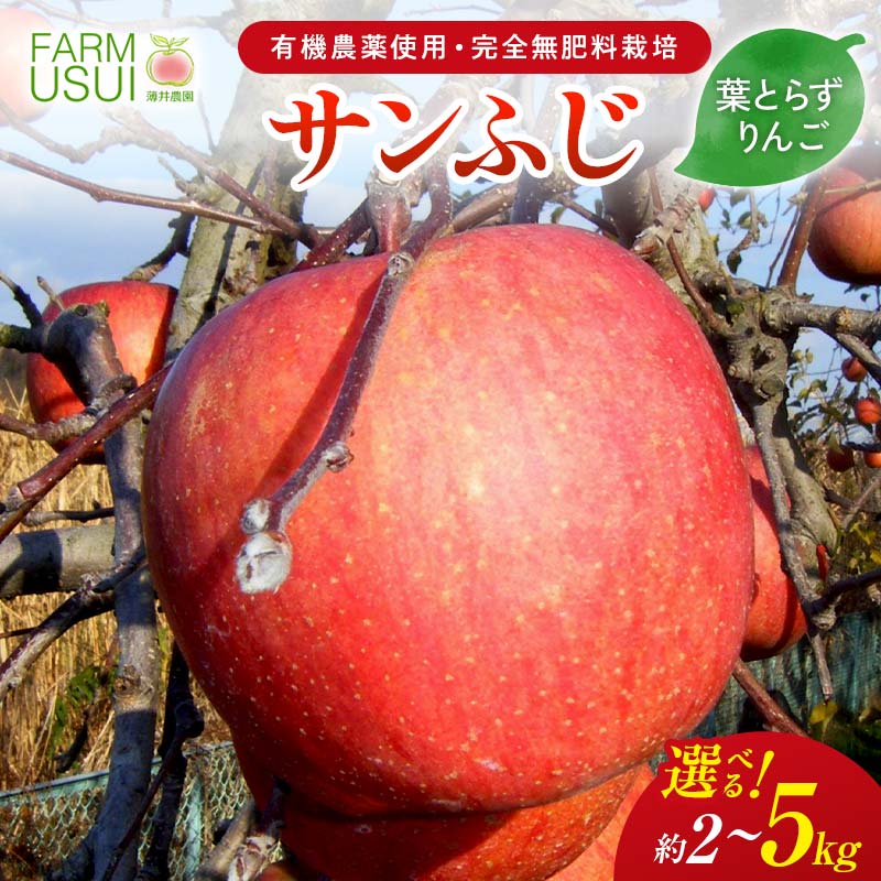 【ふるさと納税】＼選べる容量／ 有機農薬使用・完全無肥料栽培「サンふじ」葉とらずりんご約2kg・約3kg・約5kg F7X-0466var｜福島県須賀川市