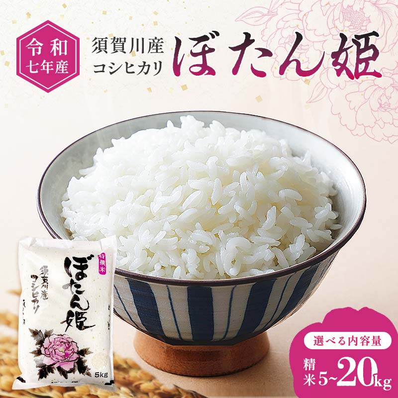 【ふるさと納税】《選べる容量》令和7年産 須賀川産コシヒカリ「ぼたん姫」精米 5kg 10kg 20kg ブランド米 お米 白米 人気 F7X-0651var｜福島県須賀川市
