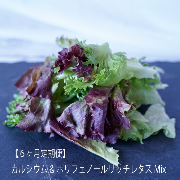 【ふるさと納税】【定期便】カルシウム&ポリフェノールリッチレタスMix（毎月6ヶ月お届け）　【07208-0094】