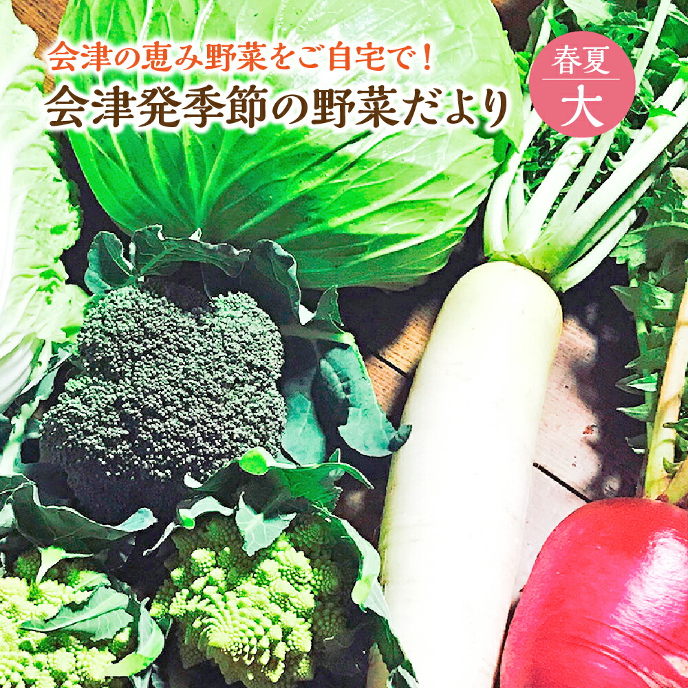 【ふるさと納税】会津発季節の野菜だより（大・春夏）【07208-0257】