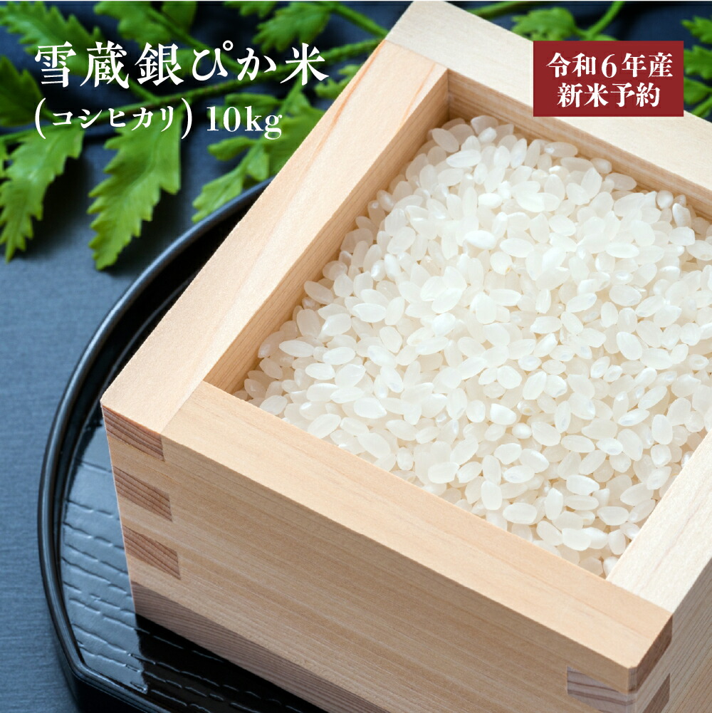 Karl 令和6年産 くず米 20キロ 令和6年 クズ米 くず米 玄米 飼料用 20kg 米・雑穀・粉類