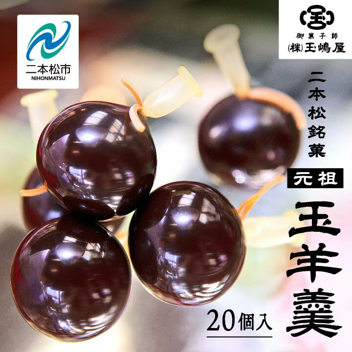 【ふるさと納税】 二本松の名物 銘菓《玉嶋屋の玉羊羹》20個入り 羊羹 ようかん 玉羊羹 銘菓 玉嶋屋 和菓子 餡子 あんこ おすすめ お中元 お歳暮 ギフト 二本松市 ふくしま 福島県 送料無料 【株式会社玉嶋屋】｜福島県二本松市