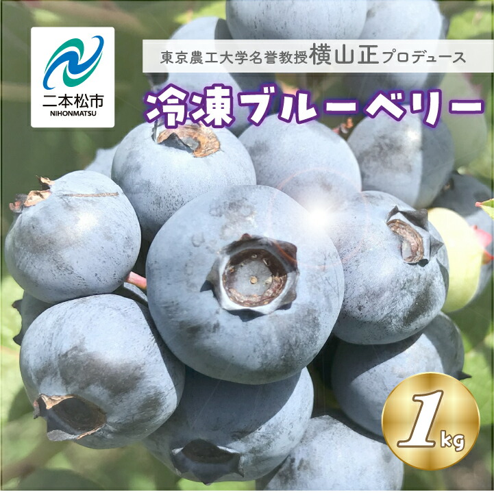 【ふるさと納税】 《2025年7月以降順次発送》東京農工大学名誉教授「横山　正」ブランドのブルーベリー冷凍果実1kg（品種おまかせ） ブルーベリー フルーツ 果物 冷凍果実 おすすめ お中元 お歳暮 ギフト 二本松市 ふくしま 福島県 送料無料 【東和ブルーベリー研究農園】