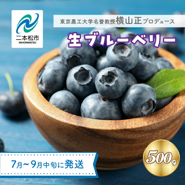 【ふるさと納税】《2025年7月以降順次発送》東京農工大学名誉教授「横山　正」ブランドのブルーベリー果実500g（品種おまかせ） ブルーベリー 産地 直送 新鮮 果物 おすすめ お中元 お歳暮 ギフト 二本松市 ふくしま 福島県 送料無料 【東和ブルーベリー研究農園】