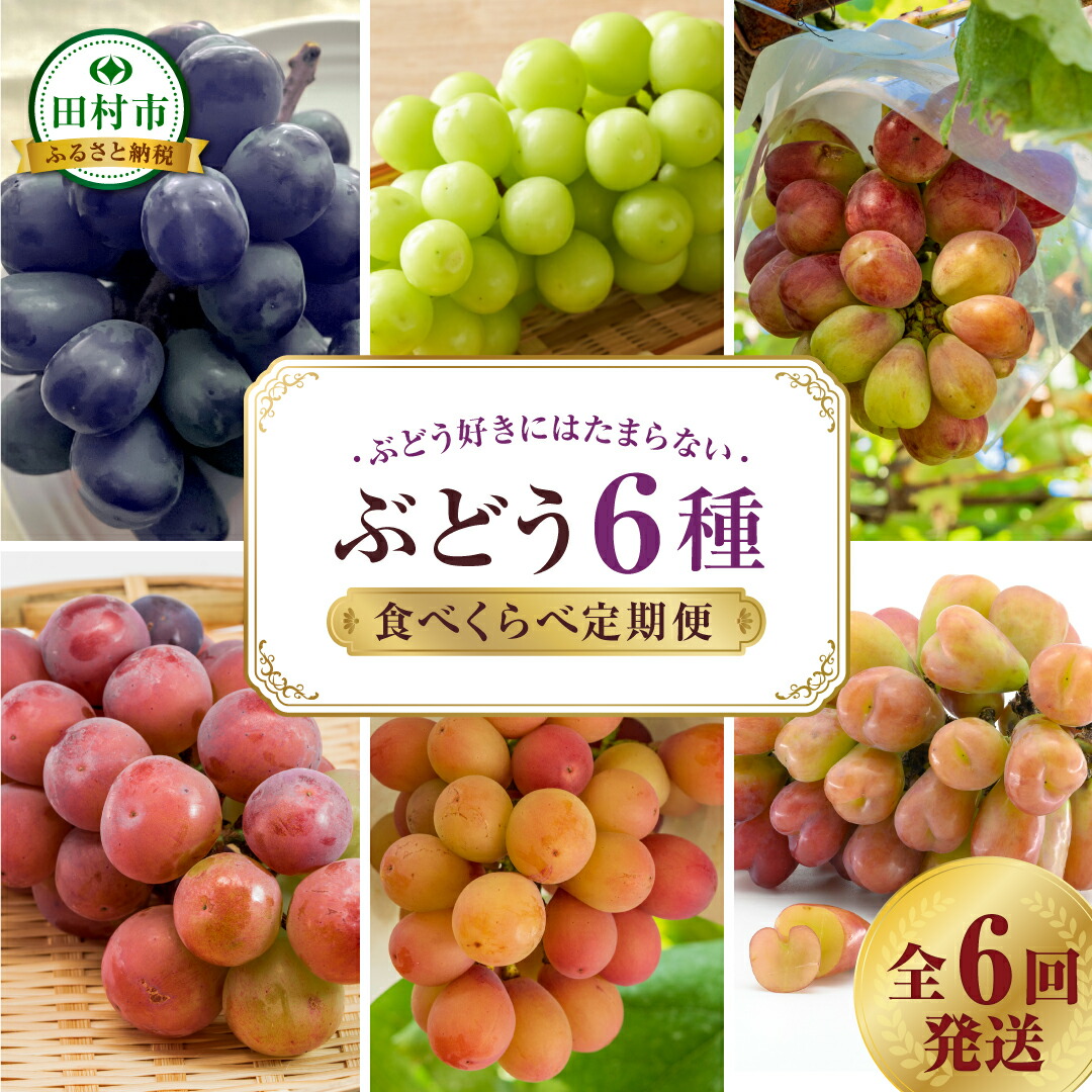 【ふるさと納税】【先行予約 2025年発送】＼ぶどう６種食べくらべ定期便／ 6回発送 冷蔵 高級 種無し 種なし シャインマスカット ぶどう 品種 果物 フルーツ 巨峰 美味しい 希少 人気 福島県 田村市 鈴木農園