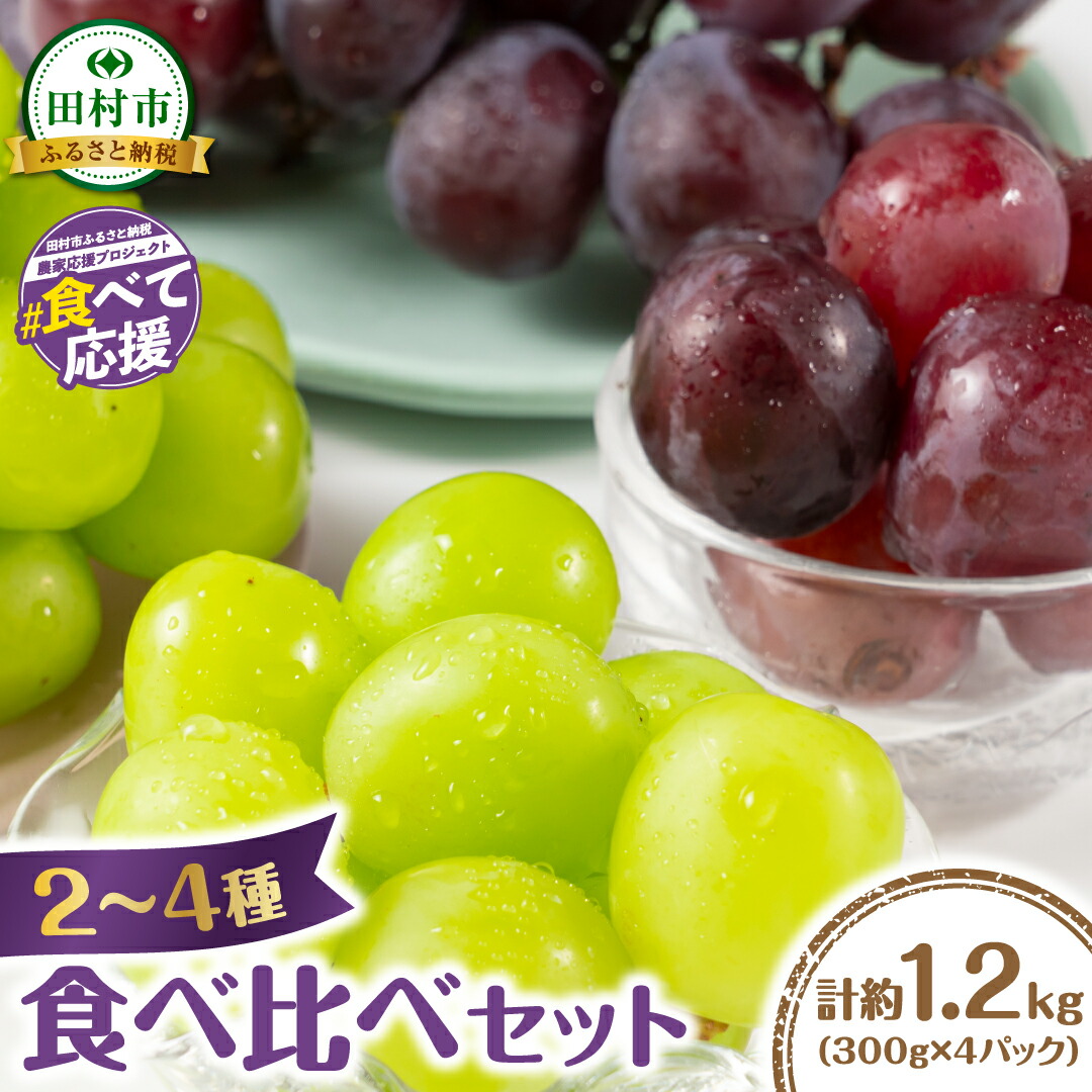 葡萄♥︎シャインマスカット苗木 登録品種 バイオレットキングのセット 宅急便 苗木】2026年 バイオレットキング 2本～49本セット【予約商品】【11