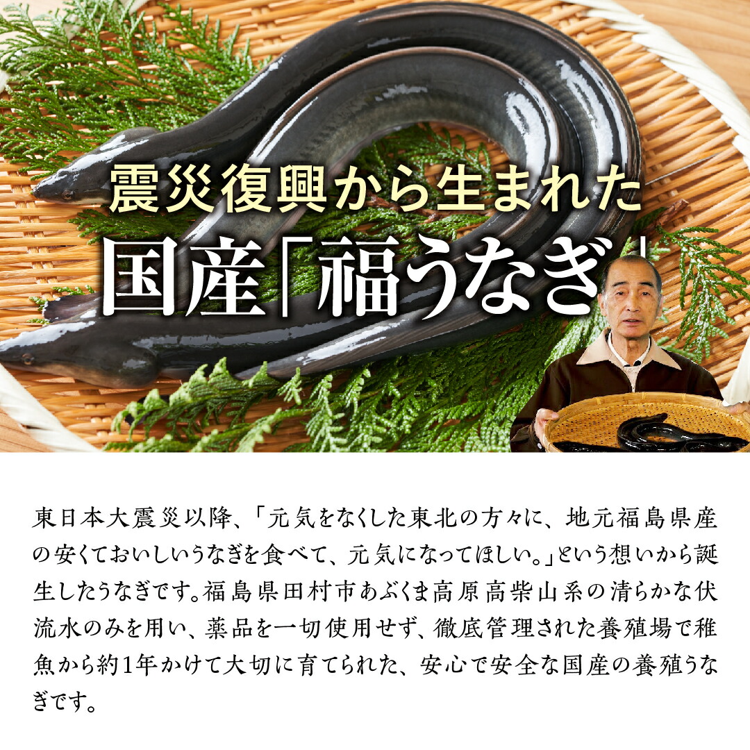 【ふるさと納税】『福うなぎ』のかば焼き(140～160g×1尾)TA8-10