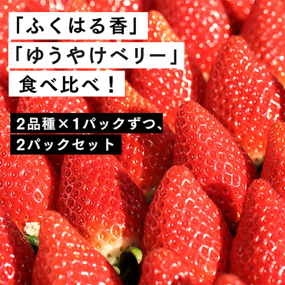 【ふるさと納税】【２月発送開始・数量限定】 いちご 280g×2パック ｜ふくはる香 とちおとめ イチゴ いちご 苺 ストロベリー strawberry 人気 プレゼント ギフト 贈答用 贈り物 果物 フルーツ 伊賀 いちご園 ふるさと納税 福島 南相馬
