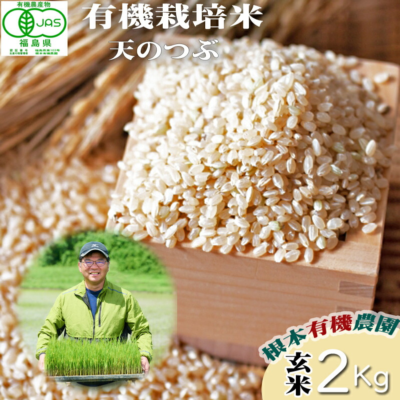 【ふるさと納税】【令和6年産】 南相馬 天のつぶ 2kg 2キロ JAS 有機米 根本有機農園 天のつぶ 玄米 精米 コメ ブランド米 福島 福島県産 低温貯蔵庫 送料無料 たんぱく質 旨い ふるさと納税 オンライン申請【3004501】