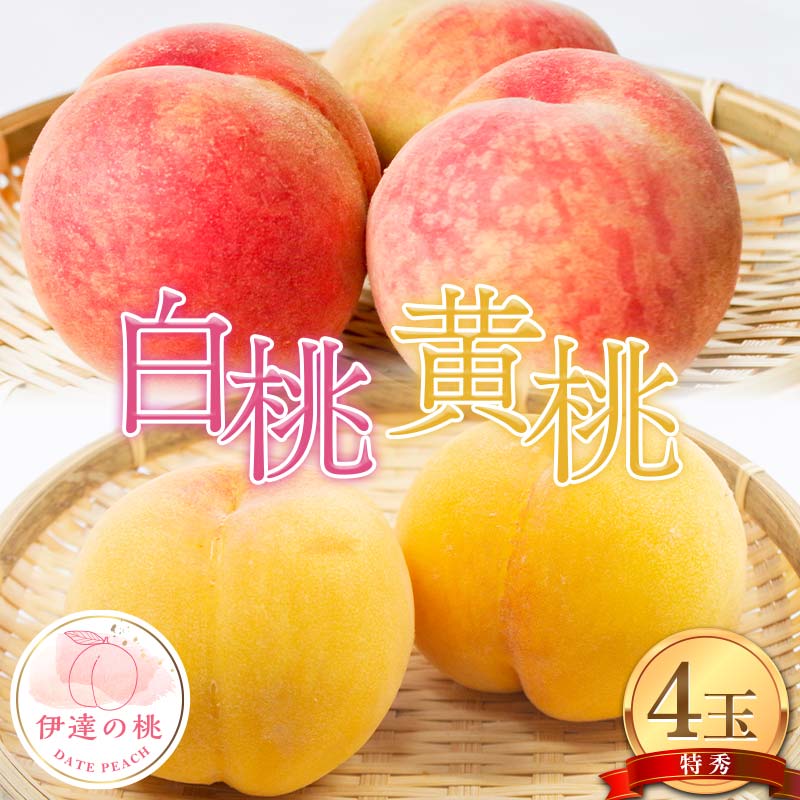 【ふるさと納税】【2026年出荷分先行予約】福島県産 白桃と黄桃の特秀 4玉入り (約1.2kg) 株式会社エールアップ 特秀 伊達の桃 桃 フルーツ 果物 もも モモ momo F21C-080｜福島県伊達市
