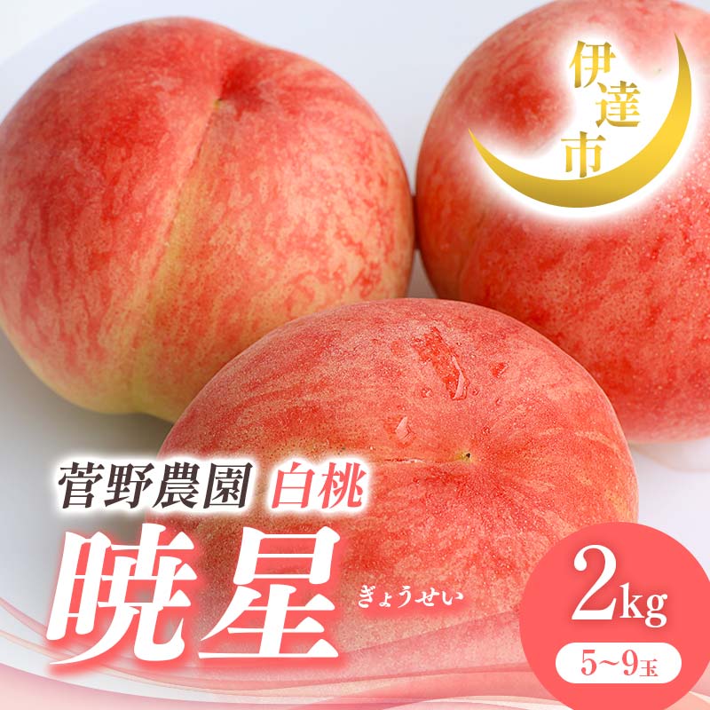 【ふるさと納税】2025年出荷分 先行予約 福島県産 暁星 2kg 2025年7月上旬～2025年7月下旬発送 先行予約 予約 伊達の桃 伊達市 桃 贈り物 贈答 ギフト もも モモ 果物 くだもの フルーツ 国産 食品 F21C-013