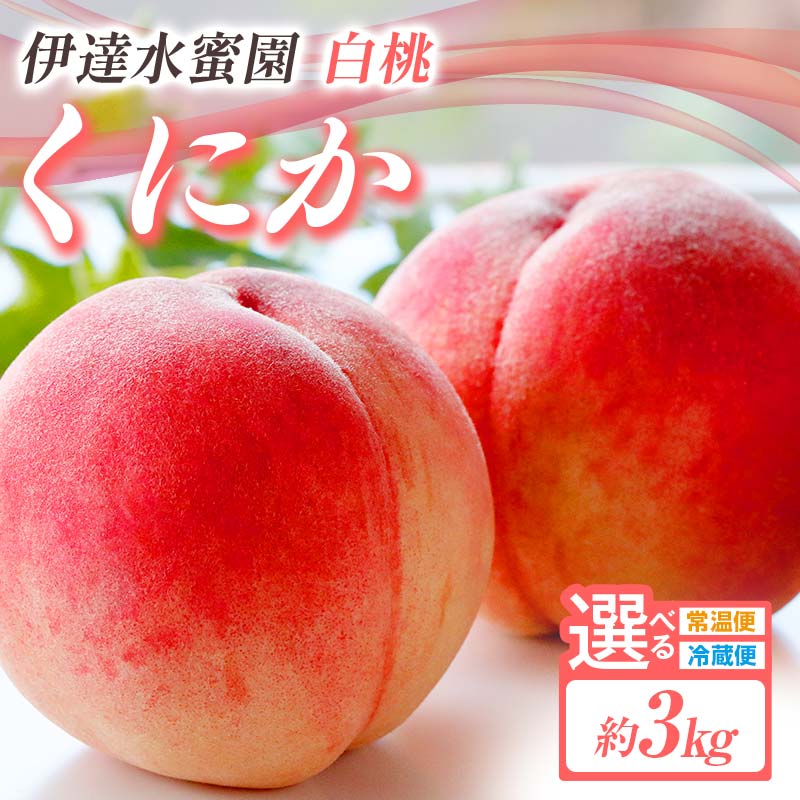 【ふるさと納税】＼選べる配送方法／【2026年出荷分先行予約】福島県産 くにか 約3kg (9～16玉) 常温・冷蔵で配送が選べる 有限会社伊達水蜜園 白桃 大玉 伊達の桃 桃 フルーツ 果物 もも モモ momo F21C-015var｜福島県伊達市