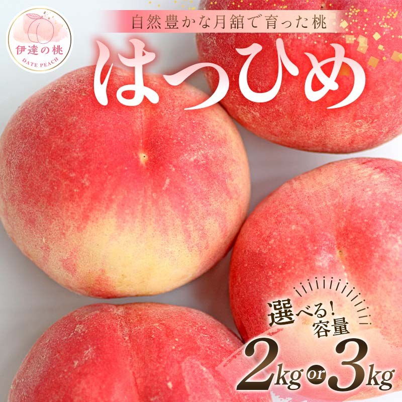 【ふるさと納税】≪2025年出荷分≫ 先行予約 自然豊かな月舘で育った桃 はつひめ 《選べる容量》約2kg or 約3kg 桃 もも モモ 果物 くだもの フルーツ 名産品 国産 食品 F21C-048var