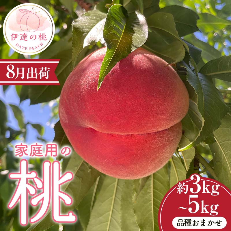 楽天市場】【ふるさと納税】＼選べる容量／【2026年出荷分先行