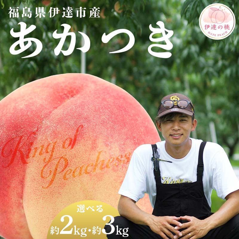 信州産　カサブランカ　白・桃色 楽天市場】【ふるさと納税】＼選べる容量／【2026年出荷分先行予約