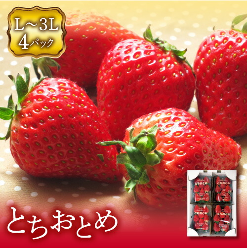 【ふるさと納税】〈先行予約〉福島県 伊達市産 いちご (とちおとめ3L～Lサイズ) 4パック F20C-133