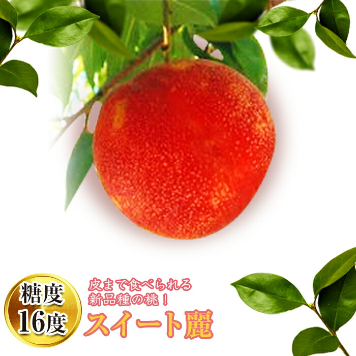【ふるさと納税】2025年出荷分 先行予約皮まで食べられる新品種 福島県産 スイート麗 1.5kg 2025年8月下旬～2025年9月上旬発送 先行予約 予約 伊達の桃 桃 もも モモ 果物 くだもの フルーツ 国産 食品 F20C-149