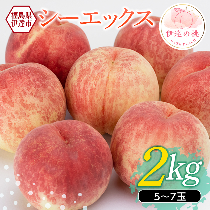 【ふるさと納税】2025年出荷分 福島県産 伊達市で開発 シーエックス 2kg 2025年10月上旬～2025年10月中旬発送 先行予約 予約 大玉 固め 伊達の桃 CX 桃 もも モモ 果物 くだもの フルーツ 国産 食品 F20C-151
