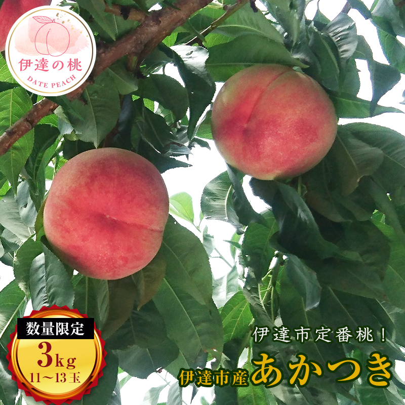 【ふるさと納税】2025年出荷分 先行予約福島県産 あかつき 約3kg 数量限定 2025年7月下旬～2025年8月中旬発送 先行予約 予約 伊達の桃 桃 もも モモ 果物 くだもの フルーツ 名産品 国産 食品 F20C-159