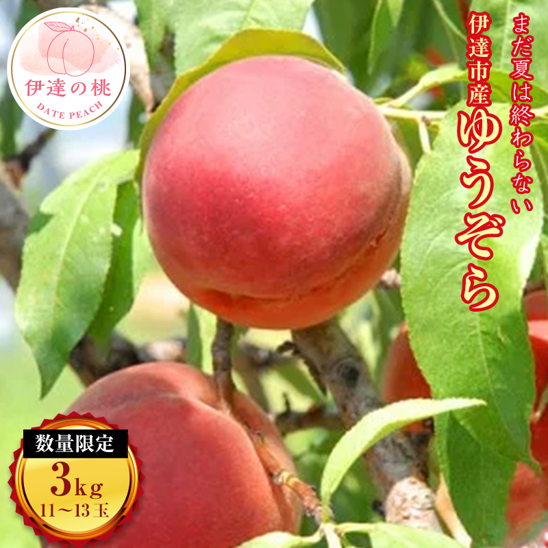 【ふるさと納税】2025年出荷分 先行予約福島県産 ゆうぞら 約3kg 2025年8月中旬～2025年9月初旬発送 先行予約 予約 数量限定 小さめ 固め 伊達の桃 桃 もも モモ 果物 くだもの フルーツ 国産 食品 F20C-160