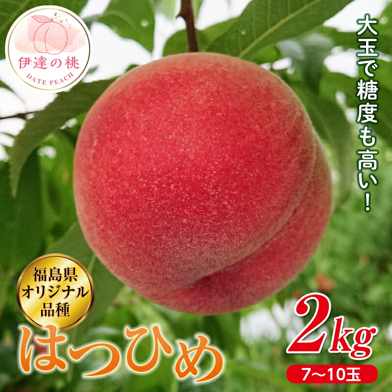 【ふるさと納税】2025年出荷分 先行予約福島県産 はつひめ 2kg 2025年7月上旬～2025年7月中旬発送 先行予約 予約 伊達の桃 オリジナル品種 桃 もも モモ 果物 くだもの フルーツ 国産 食品 F20C-371