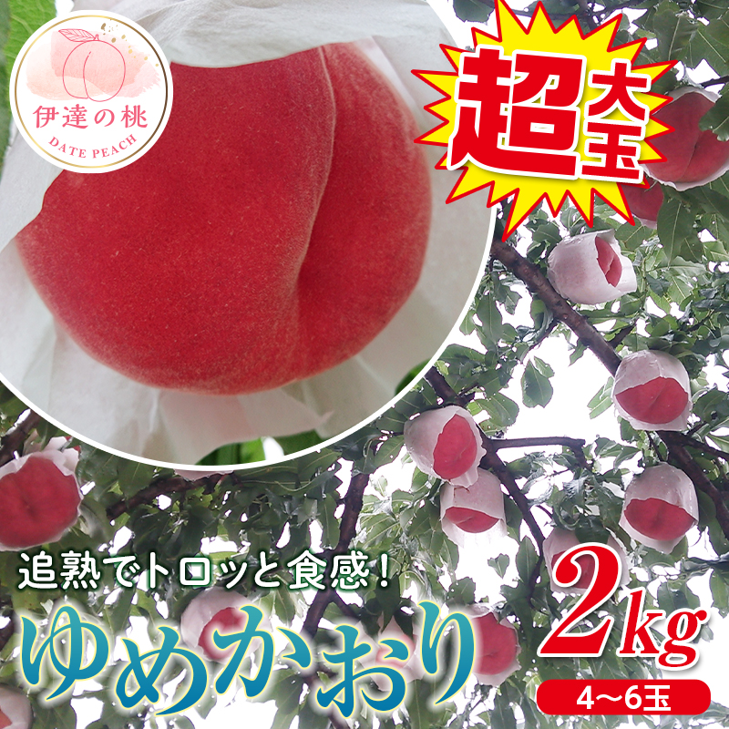 【ふるさと納税】2025年出荷分 先行予約福島県産 ゆめかおり 2kg 新品種 2025年9月中旬～2025年9月下旬発送 先行予約 予約 極大玉 大きめ 固め 伊達の桃 桃 もも モモ 果物 くだもの フルーツ 国産 食品 F20C-372