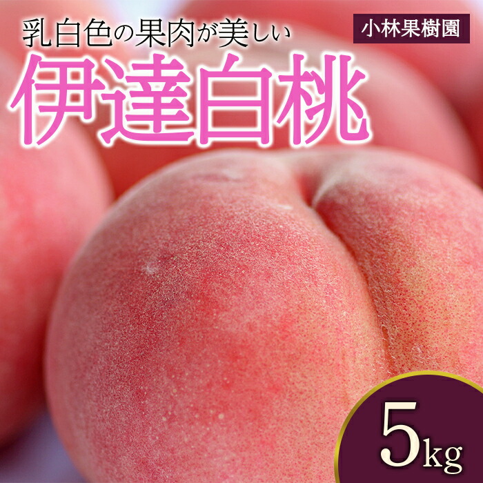 【ふるさと納税】2025年出荷分 先行予約福島県産 伊達白桃 5kg 2025年9月上旬～2025年9月中旬発送 先行予約 予約 白桃 大玉 伊達の桃 桃 もも モモ 果物 くだもの フルーツ 国産 食品 F20C-593