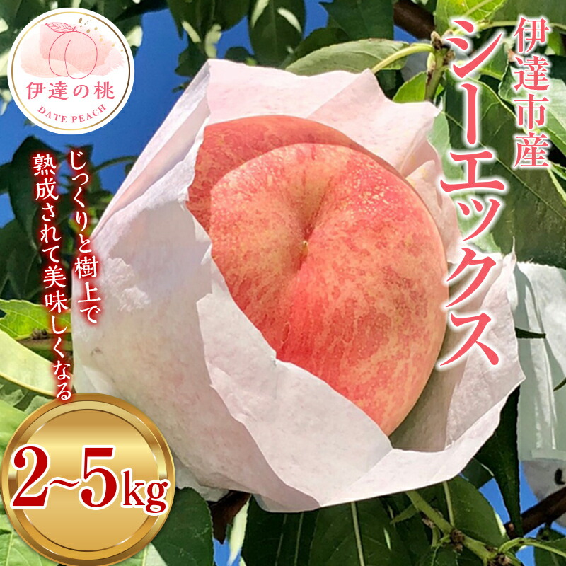 【ふるさと納税】2025年出荷分 先行予約数量が選べる 福島県産 シーエックス 2kg 3kg 5kg 2025年9月中旬～2025年10月上旬発送 先行予約 予約 大玉 固め 伊達の桃 桃 もも モモ 果物 くだもの 食品 F20C-444var