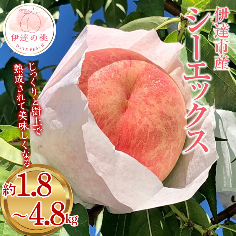 楽天市場】【ふるさと納税】＼選べる容量／【2026年出荷分先行予約