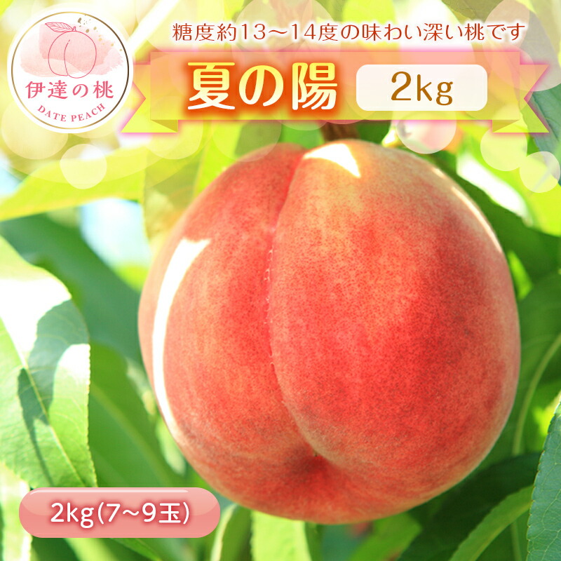 【ふるさと納税】福島県産 伊達市で開発 夏の陽 2kg 2025年8月上旬～2025年8月中旬発送 先行予約 予約 中玉 柔らかめ 伊達の桃 桃 もも モモ 果物 くだもの フルーツ 国産 食品 F20C-454
