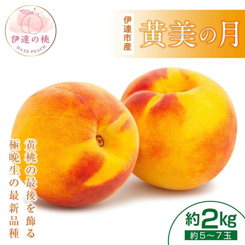 【ふるさと納税】2025年出荷分 先行予約福島県産 伊達市で開発 黄美の月 2kg 新品種 2025年9月下旬～2025年10月上旬発送 先行予約 予約 大玉 伊達の桃 桃 もも モモ 果物 くだもの フルーツ 国産 食品 F20C-464