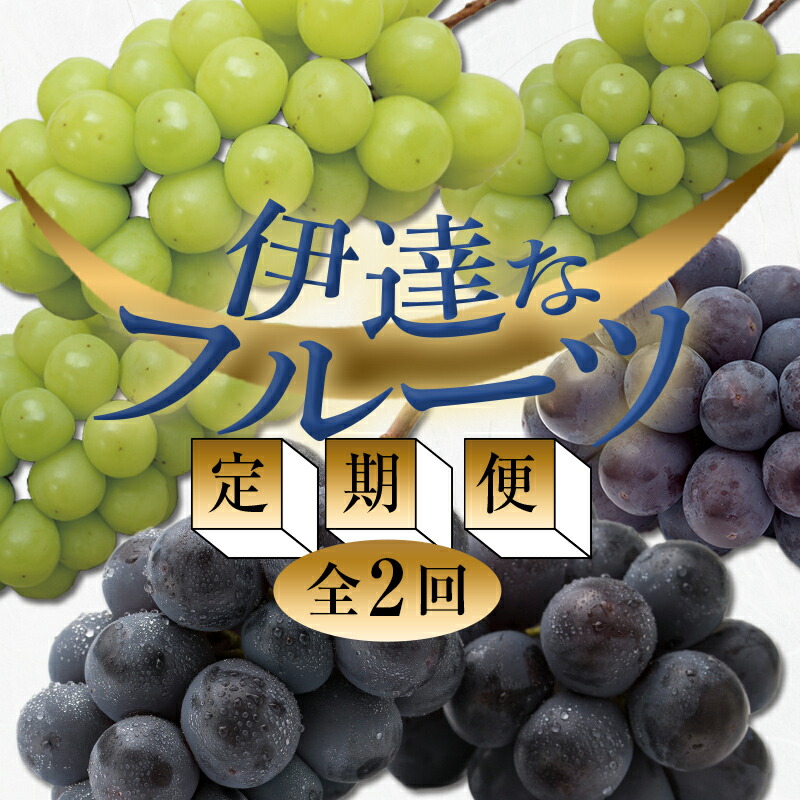 【ふるさと納税】＜2025年秋から開始の定期便＞ 伊達なフルーツ定期便（ぶどう2種）果物 フルーツ 葡萄 ブドウ 福島県 伊達市 F20C-477