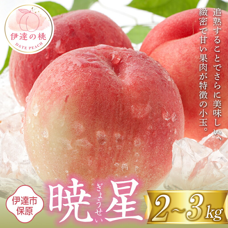 【ふるさと納税】2025年出荷分 先行予約数量が選べる 福島県産 暁星 2kg 3kg 2025年7月上旬～2025年7月中旬発送 先行予約 予約 伊達の桃 ぎょうせい 小玉 桃 もも モモ 果物 くだもの フルーツ F20C-502var