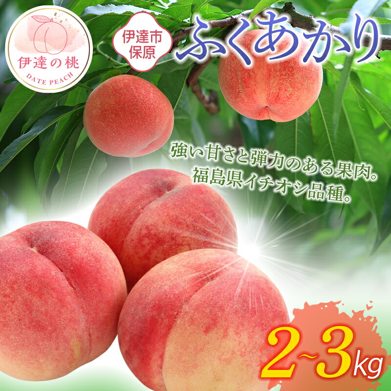 【ふるさと納税】2025年出荷分 先行予約数量が選べる 福島県産 ふくあかり 2kg 3kg 5kg 2025年7月中旬～2025年7月下旬発送 先行予約 予約 伊達の桃 桃 もも モモ 果物 くだもの フルーツ 国産 食品 F20C-505var