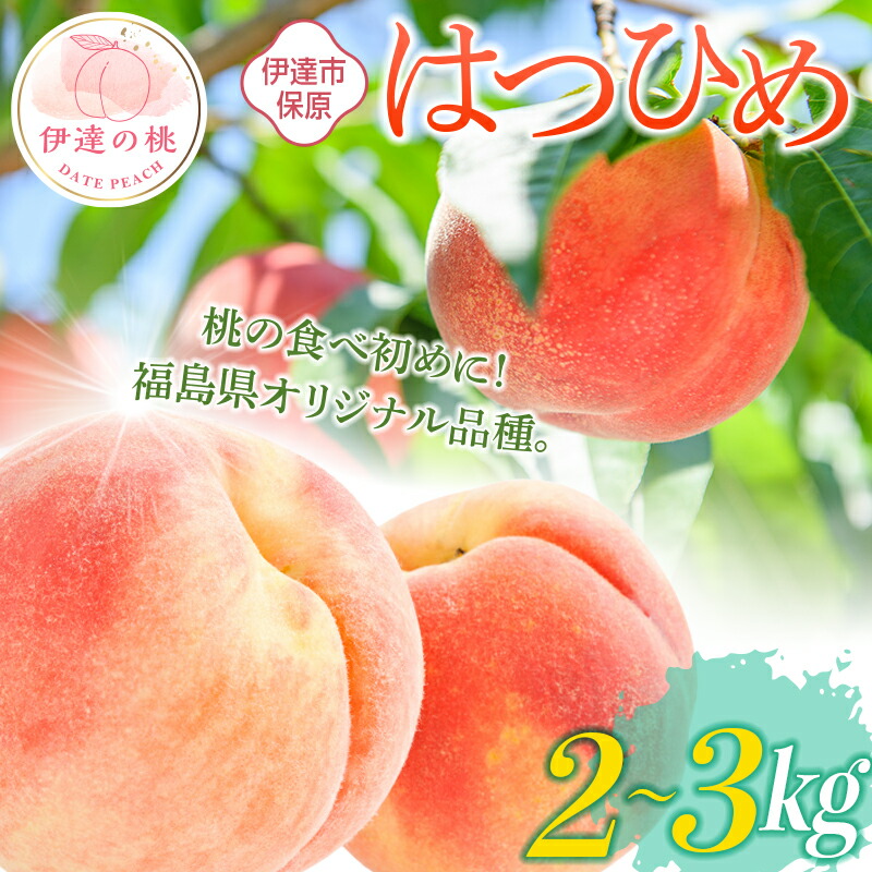 【ふるさと納税】2025年出荷分 先行予約数量が選べる 福島県産 はつひめ 2kg 3kg 2025年7月上旬～2025年7月中旬発送 先行予約 予約 伊達の桃 桃 もも モモ 果物 くだもの フルーツ 国産 食品 F20C-506var