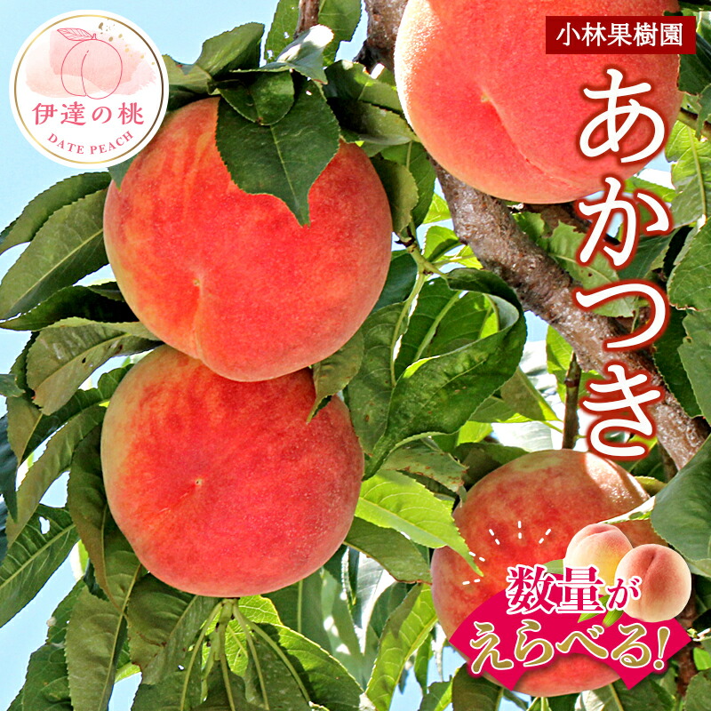 【ふるさと納税】2025年出荷分 先行予約数量が選べる 福島県産 あかつき 3kg 5kg 2025年7月下旬～2025年8月上旬発送 先行予約 予約 伊達の桃 桃 もも モモ 果物 くだもの フルーツ 名産品 国産 食品 F20C-591var