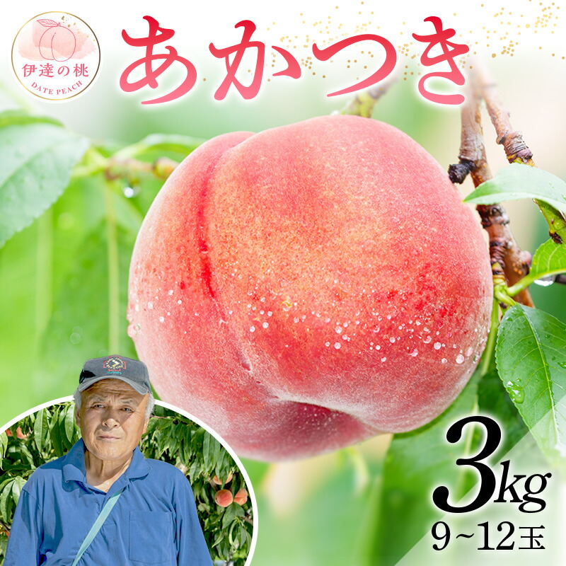 【ふるさと納税】2025年出荷分 先行予約福島県産 【新鮮もも直送】あかつき 3kg 2025年7月下旬～8月中旬発送 先行予約 予約 伊達の桃 桃 もも モモ 果物 くだもの フルーツ 名産品 国産 食品 F20C-607