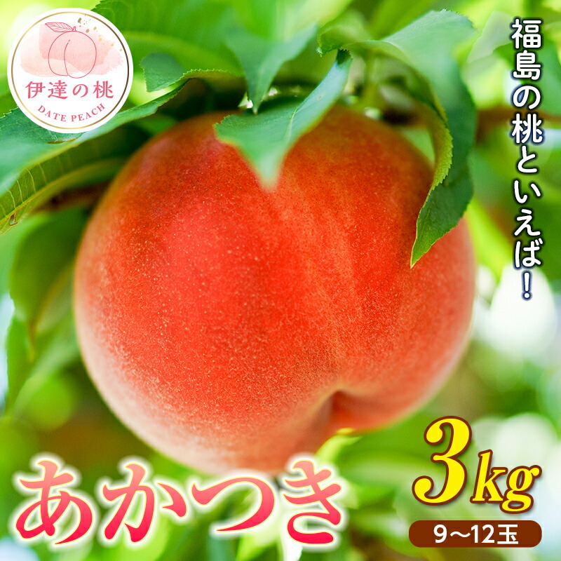 【ふるさと納税】2025年出荷分 先行予約福島県産 あかつき 3kg 2025年7月下旬～2025年8月上旬発送 先行予約 予約 伊達の桃 桃 もも モモ 果物 くだもの フルーツ 名産品 国産 食品 F20C-637