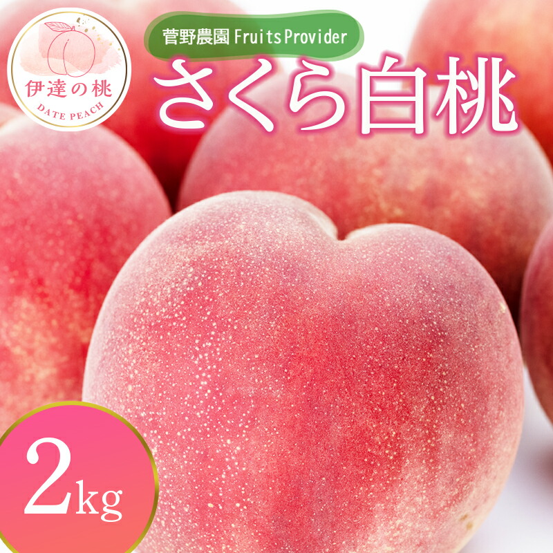 【ふるさと納税】2025年出荷分 先行予約福島県産 さくら白桃 2kg 2025年9月上旬～2025年9月中旬発送 先行予約 予約 大玉 固め 白桃 伊達の桃 桃 もも モモ 果物 くだもの フルーツ 国産 食品 F20C-639