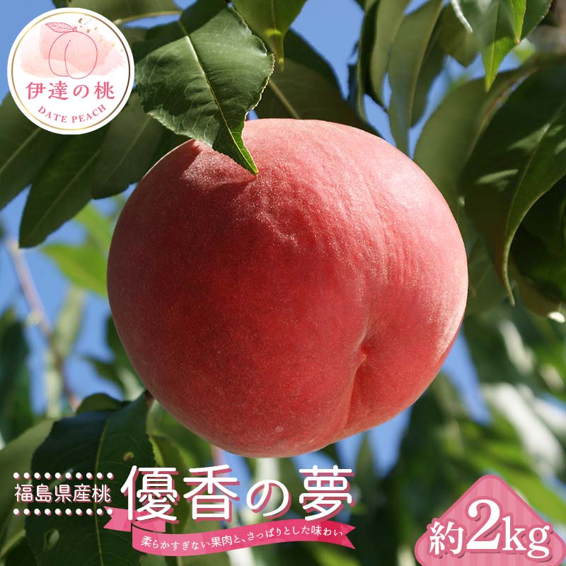 【ふるさと納税】【2026年出荷分先行予約】福島県産 優香の夢 約2kg (6~9玉) 高橋もも園 伊達市で開発 数量限定 ゆうかのゆめ 伊達の桃 桃 フルーツ 果物 もも モモ momo F20C-729|福島県伊達市