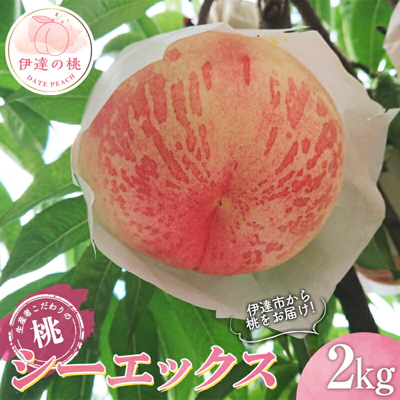 【ふるさと納税】2025年出荷分 先行予約福島県産 シーエックス 2kg 2025年9月中旬～2025年10月上旬発送 先行予約 予約 大玉 固め 伊達の桃 CX 桃 もも モモ 果物 くだもの フルーツ 国産 食品 F20C-782