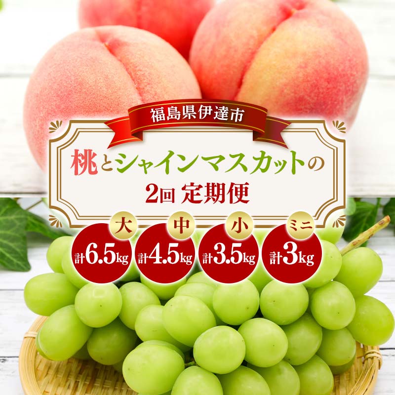 【ふるさと納税】【先行予約】桃とシャインマスカットの定期便（ミニ・小・中・大）桃2kg～5kg 果物 フルーツ 桃 モモ もも 葡萄 ブドウ ぶどう 福島県 伊達市 もも モモ momo F20C-784var